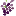 protonepgr.com