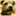 rustybrowndog.wordpress.com