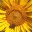 arcoirisdesign.wordpress.com