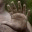 gregdoherty.wordpress.com