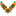 e-wings.net