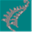 gracebooks.co.nz