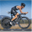 swiftmultisport.com