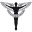 cltspine.com