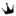 nycoralking.com