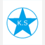 kinsei-s.com