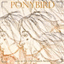 ponybird.bandcamp.com