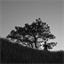 blog.tatayap.com