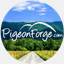 pigeonforge.com