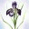 jacquelinezuckermanblog.com
