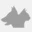 comfypet.pl
