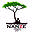 nanze.org
