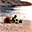 quartettofancelli.it