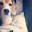 makeamarkblog.wordpress.com