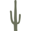 knocheldds.com