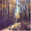 roundroots.org