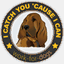 blog.work-for-dogs.de