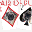 pairofpugs.wordpress.com