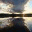 franceswittman.wordpress.com