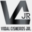 vidalcisnerosjr.com