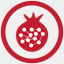 all-asa.org