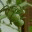 minifundiodevaranda.wordpress.com