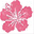 enjoyaloha.com