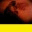 creaturedance.wordpress.com