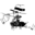 mazzottis.com