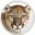 ubuntummguide.wordpress.com