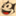 gasius.com
