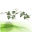 ivybay.com