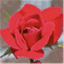 geauxlisa.com