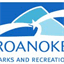 playroanoke.com