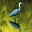 sonorasam.wordpress.com