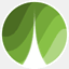 leaf-project.com