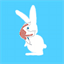 bleemy.com