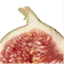 thefancyfig.wordpress.com