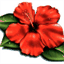 cocodance.ch