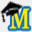 masterswriting.com