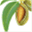 wcngg.com