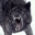 geoftravis.wordpress.com