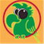 screechandsquawk.wordpress.com