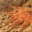 erichelm.wordpress.com