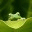 enriquefrog.wordpress.com