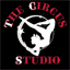 thecircusstudio.com