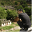 chinasquat.com