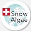 snow-algae.com