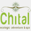 elchital.com