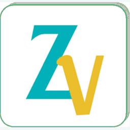 zasvision.com